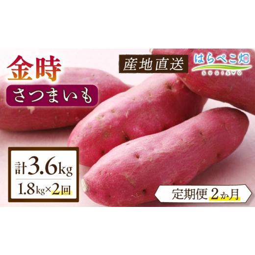 ふるさと納税 野菜類 サツマイモ 愛知県 西尾市 定期便2ヶ月 さつまいも 金時 1.8kg・H126 2回 定期便/16,000円