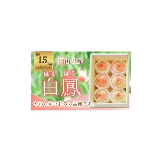 ふるさと納税 もも 岡山県 津山市 [2026年発送]岡山県産 白鳳 1.5kg 5〜7玉 1736761