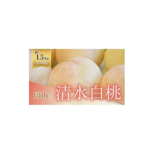 ふるさと納税 もも 岡山県 津山市 [2026年発送]岡山県産清水白桃 1.5kg 5〜7玉 1736763