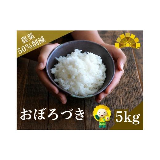 ふるさと納税 米 北海道 北竜町 新米 予約 令和8年度産 おぼろづき 5kg 白米 / 低農薬米 北海道 北竜町産 2026年10月中旬〜順次発送 uni400-obo-r5-R8