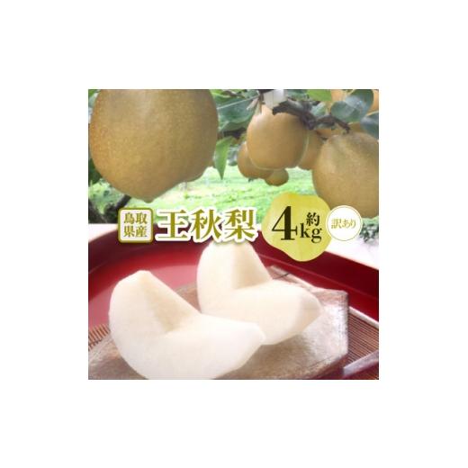 ふるさと納税 梨 鳥取県 伯耆町 訳あり 王秋梨 4kg(4〜13玉前後) 1733695