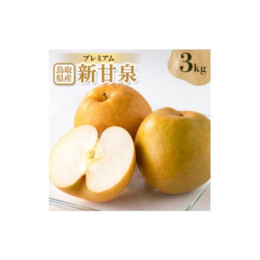 ふるさと納税 梨 鳥取県 伯耆町 プレミアム新甘泉 3kg 1733713