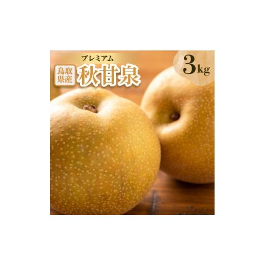 ふるさと納税 梨 鳥取県 伯耆町 プレミアム秋甘泉 3kg 1733718