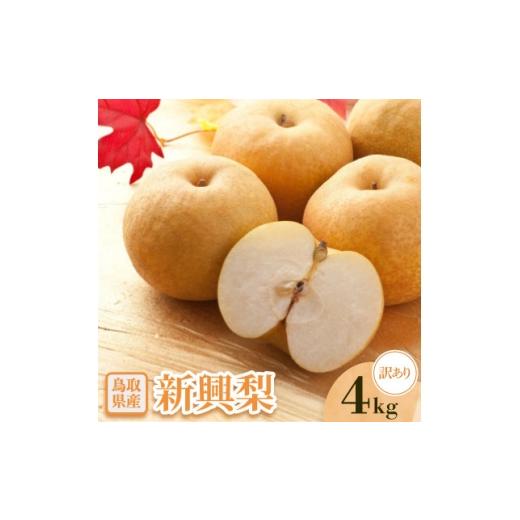 ふるさと納税 梨 鳥取県 伯耆町 訳あり 新興梨 4kg 1733723