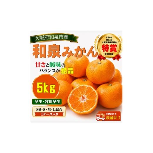 ふるさと納税 果物類 みかん 大阪府 和泉市 先行予約 大阪府和泉市産 宮川早生 和泉みかん 1ケース5Kg 11月中頃より発送 1672205