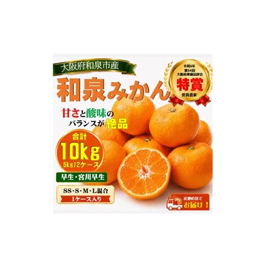 ふるさと納税 果物類 みかん 大阪府 和泉市 先行予約 大阪府和泉市産 宮川早生みかん5kg2ケース(1梱包) 11月中頃より発送 1672212