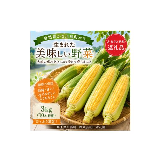 ふるさと納税 とうもろこし 埼玉県 川島町 朝採れ 川島産トウモロコシ(ゴールドラッシュ)3kg(1ケース10〜13本入)