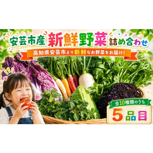 ふるさと納税 野菜類 じゃがいも 高知県 安芸市 新鮮お野菜詰め合わせセット 1〜2人前|人気 野菜 詰め合わせ セット 新鮮野菜 野菜定期便 野菜セット 季節の…