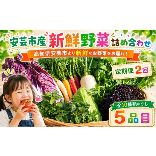 ふるさと納税 野菜類 じゃがいも 高知県 安芸市 全2回定期便 新鮮お野菜詰め合わせセット 1〜2人前|定期便 2回 頒布会 人気 野菜 詰め合わせ セット 新鮮野…