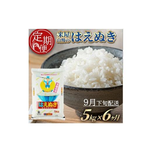 ふるさと納税 米 はえぬき 山形県 酒田市 9月下旬発送開始/ 6回定期便 [精米]米屋自慢のはえぬき 5kg×6回(計30kg) TO SH0092 9月下旬発送開始
