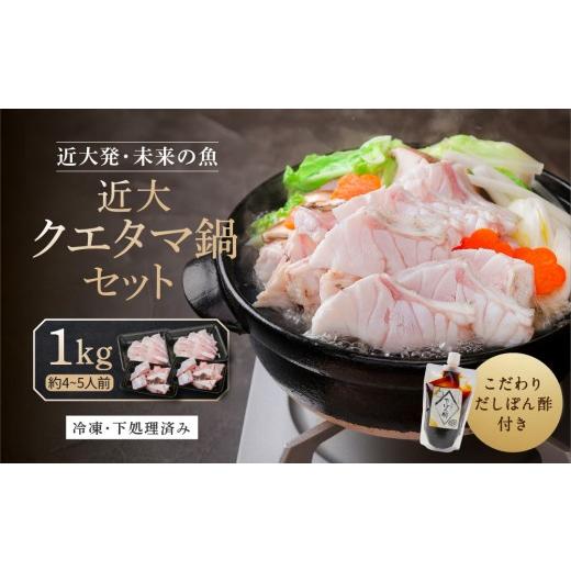 ふるさと納税 鍋セット 和歌山県 白浜町 近大クエタマ鍋セット1kg(2026年11月下旬〜12月中旬発送) 1kg(2026年11月下旬〜12月中旬発送)[40,000円]