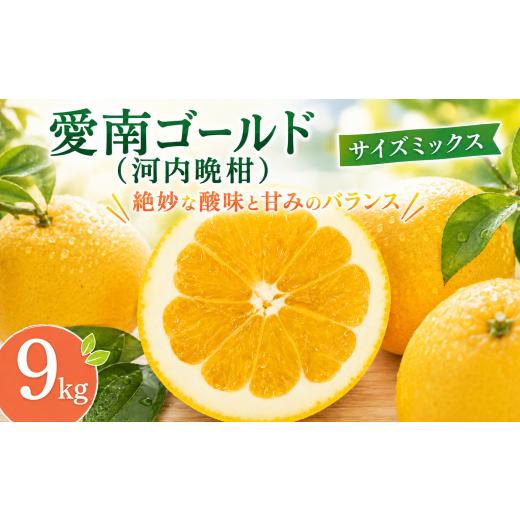 ふるさと納税 みかん・柑橘類 愛媛県 愛南町 河内晩柑 (愛南ゴールド) 大玉小玉ミックス 9kg かわちばんかん ミカン わけあり 家庭用 あいなん ゴールド 蜜柑 …