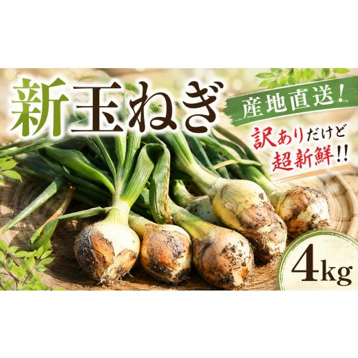 ふるさと納税 野菜類 玉ねぎ 愛媛県 新居浜市 訳あり 先行予約 土付き 新たまねぎ 4kg 国産 新玉ねぎ 玉ねぎ 旬 野菜 家庭用 サラダ 炒め物 スープ カレー 常…