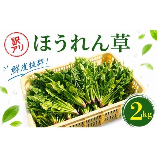 ふるさと納税 野菜類 玉ねぎ 愛媛県 新居浜市 訳あり 先行予約 ほうれん草 2kg 国産 ほうれん草 旬 野菜 家庭用 サラダ 炒め物 スープ カレー 常温配送 みず…