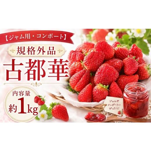 ふるさと納税 いちご 奈良県 平群町 ジャム用 規格外品の古都華 約1kg | 先行予約 ジャム用 加工用 フルーツ 果物 くだもの ブランド いちご 苺 古都華 こと…
