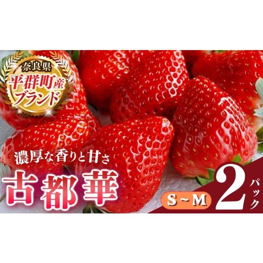 ふるさと納税 いちご 奈良県 平群町 いちご 平群の古都華 S〜Mサイズ (2パック×1ケース)計2パック 阪野農園 | 先行予約 フルーツ 果物 くだもの ブランド …