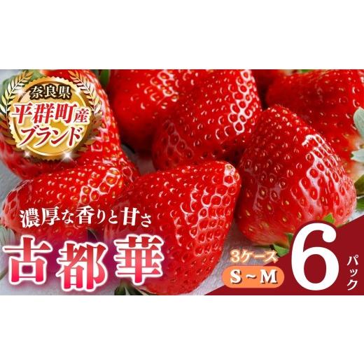 ふるさと納税 いちご 奈良県 平群町 いちご 平群の古都華 S〜Mサイズ (2パック×3ケース)計6パック 阪野農園 | 先行予約 フルーツ 果物 くだもの ブランド …