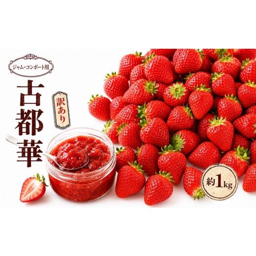 ふるさと納税 いちご 奈良県 平群町 ジャム用・コンポート 規格外品の古都華 約1kg 阪野農園 | 先行予約 フルーツ 果物 くだもの ブランド いちご 苺 古都華 …