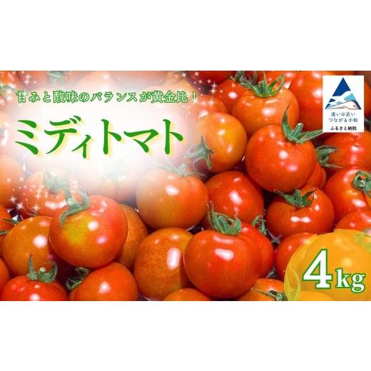 ふるさと納税 トマト ミニトマト 石川県 小松市 ミディトマト 4kg トマト とまと 中玉トマト 小松とまと 野菜 甘い 完熟 産地直送 直送 新鮮 4キロ 冷蔵 | 石…