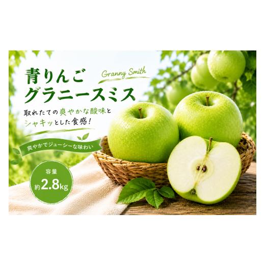 ふるさと納税 りんご 長野県 小布施町 先行予約 青りんご グラニースミス 約2.8kg[小布施屋] | りんご 青りんご フルーツ 果物 グラニースミス 長野県産 信…