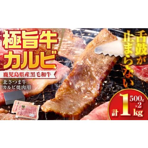 ふるさと納税 牛肉 バラ(カルビ) 鹿児島県 鹿児島市 北さつま牛カルビ焼肉用