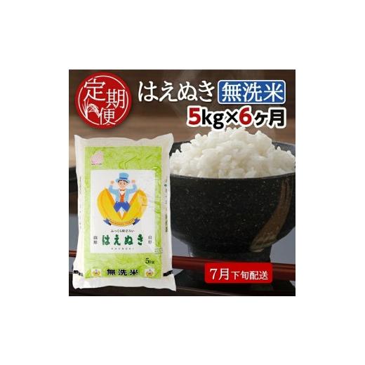 ふるさと納税 無洗米 山形県 酒田市 7月下旬発送開始/ 6回定期便 無洗米 はえぬき 5kg×6回(計30kg) TO SH0075 7月下旬発送開始