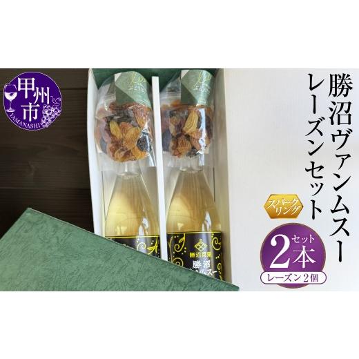 ふるさと納税 ワイン スパークリングワイン 山梨県 甲州市 勝沼ヴァンムスー2本・レーズン2個セット(BDB)B18-1610 ワイン スパークリングワイン 数量限定 …