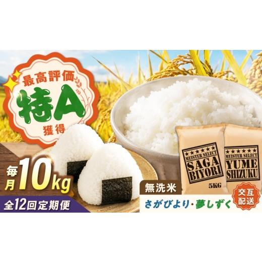 ふるさと納税 米 さがびより 佐賀県 武雄市 12回定期便 無洗米 毎月 10kg (さがびより・夢しずく交互お届け) 無洗米 お米 白米 精米 佐賀県産 米 /大塚米…