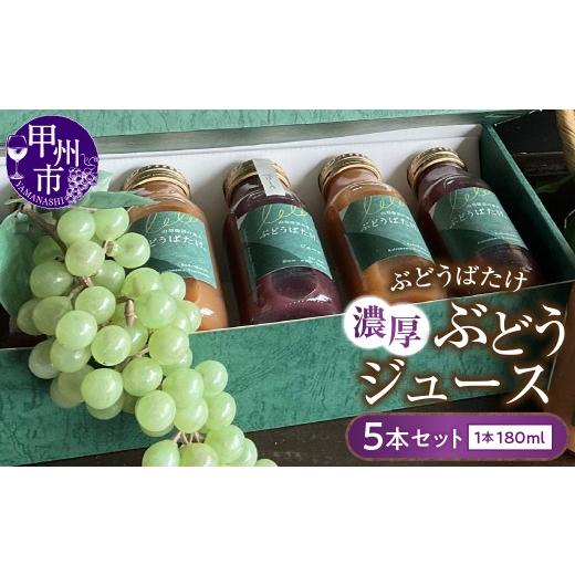 ふるさと納税 果汁飲料 ぶどう 山梨県 甲州市 ぶどうばたけ 濃厚ぶどうジュース5本セット(BDB)B13-1610 ジュースセット