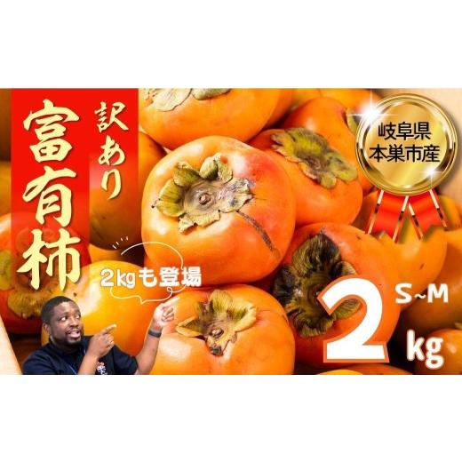 ふるさと納税 果物類 柿 岐阜県 本巣市 令和8年産/2026年11月〜発送予定 訳あり 富有柿 2kg S~Mサイズ mt2086 | くどみフルーツ農園