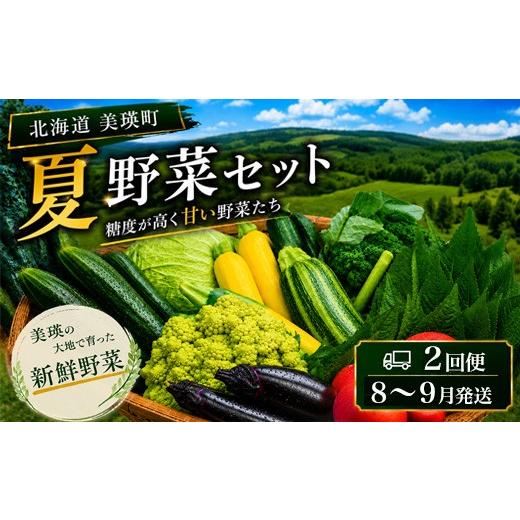 ふるさと納税 セット・詰合せ 北海道 美瑛町 令和8年産 旬の野菜7〜9種の詰め合わせセット 定期便 2回便 8月〜9月発送 美景農園|季節野菜 野菜 詰め合わせ …
