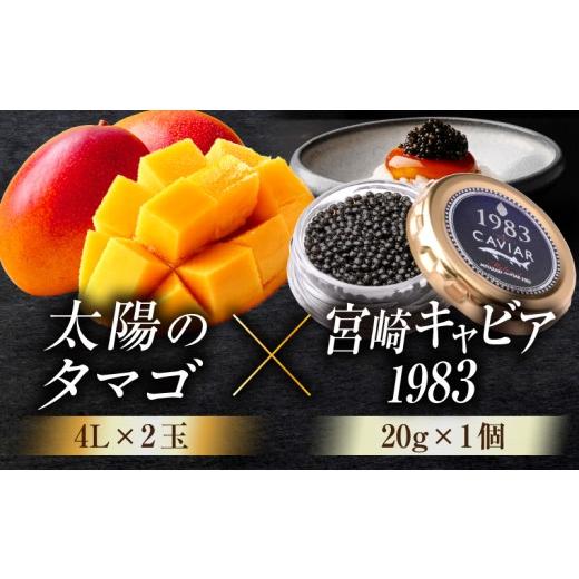 ふるさと納税 マンゴー 宮崎県 宮崎市 [2026年発送] 数量・期間限定 宮崎のグルメセット 太陽のタマゴ(4L×2玉)&宮崎キャビア1983(20g×1個)_M017-T062-01-…