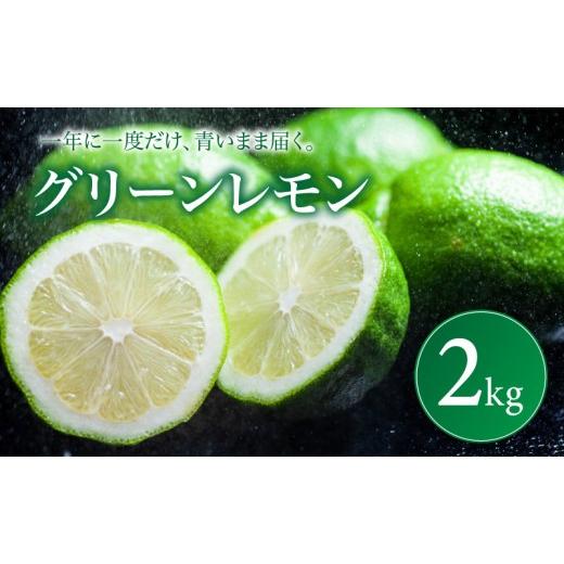 ふるさと納税 みかん・柑橘類 レモン 愛媛県 松山市 グリーン レモン 家庭用 2kg 2026年9月下旬頃から順次発送 | れもん レモン lemon 檸檬 訳あり フルーツ …