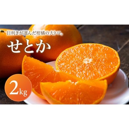 ふるさと納税 果物類 みかん 愛媛県 松山市 せとか 家庭用 2kg 2027年2月中旬頃から順次発送 | みかん ミカン mikan 蜜柑 訳ありフルーツ 柑橘 果物 おすすめ …