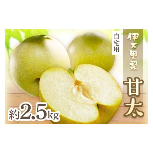 ふるさと納税 梨 佐賀県 伊万里市 2026年産先行予約 伊万里梨 「甘太」 約2.5kg ご自宅用におすすめ 178-B1072 フルーツ 果物 果実 くだもの