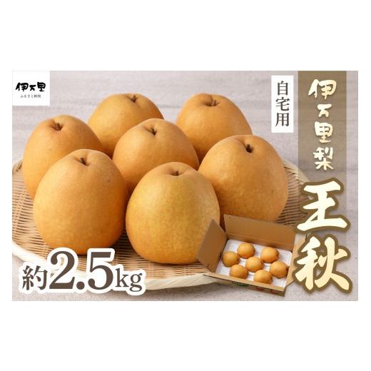 ふるさと納税 梨 佐賀県 伊万里市 2026年産先行予約 伊万里梨「王秋」 約2.5kg 178-B1071 フルーツ 果物 果実 くだもの