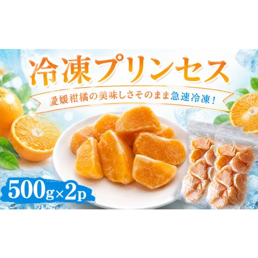 ふるさと納税 加工品等 愛媛県 愛南町 冷凍プリンセス 500g × 2袋 冷凍みかん みかん ミカン 愛媛みかん 蜜柑 柑橘 かんきつ 冷凍ミカン 冷凍柑橘 アイス ス…