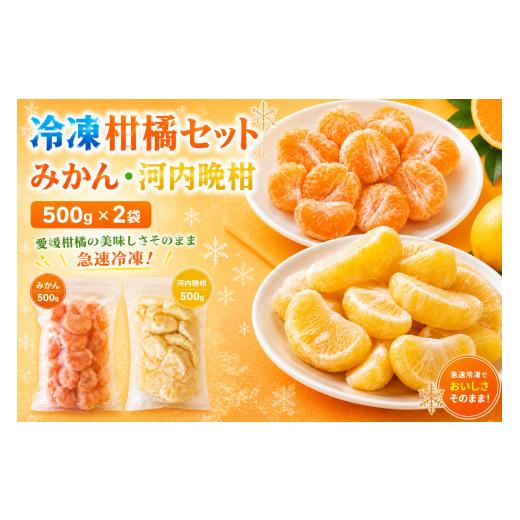 ふるさと納税 加工品等 愛媛県 愛南町 冷凍柑橘セット みかん・河内晩柑 500g ×2袋 冷凍みかん みかん ミカン 愛媛みかん 蜜柑 柑橘 かんきつ 冷凍ミカン 冷…