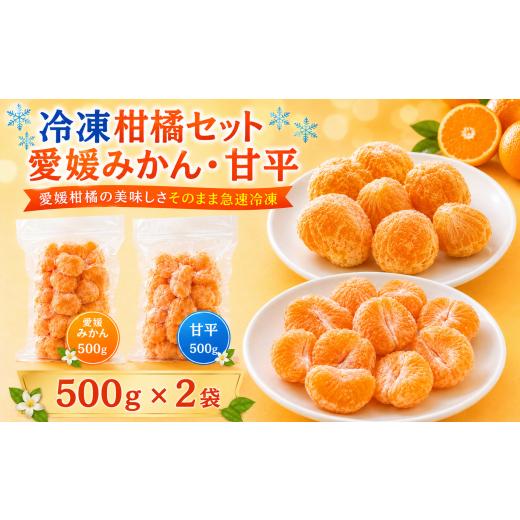 ふるさと納税 加工品等 愛媛県 愛南町 冷凍柑橘セット みかん・甘平 500g ×2袋 冷凍みかん みかん ミカン 愛媛みかん 蜜柑 柑橘 かんきつ 冷凍ミカン 冷凍柑…