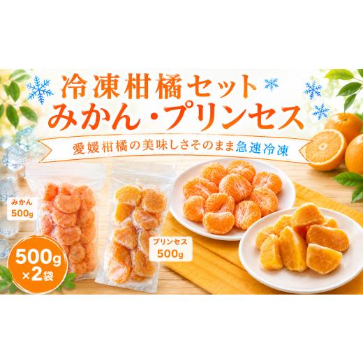 ふるさと納税 加工品等 愛媛県 愛南町 冷凍柑橘セット みかん・プリンセス 500g ×2袋 冷凍みかん みかん ミカン 愛媛みかん 蜜柑 柑橘 かんきつ 冷凍ミカン …
