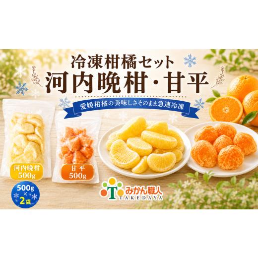 ふるさと納税 加工品等 愛媛県 愛南町 冷凍柑橘セット 河内晩柑・甘平 500g ×2袋 冷凍みかん みかん ミカン 愛媛みかん 蜜柑 柑橘 かんきつ 冷凍ミカン 冷凍…