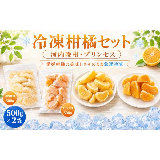 ふるさと納税 加工品等 愛媛県 愛南町 冷凍柑橘セット 河内晩柑・プリンセス 500g ×2袋 冷凍みかん みかん ミカン 愛媛みかん 蜜柑 柑橘 かんきつ 冷凍ミカン…