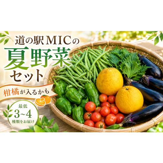 ふるさと納税 セット・詰合せ 愛媛県 愛南町 愛南町 旬 の 夏野菜 セット 柑橘 入りの場合も 最低3〜4種類 野菜 サラダ 新鮮 葉物 根菜 香味 定番野菜 河内晩…