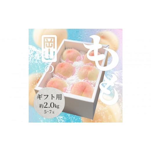 ふるさと納税 もも 岡山県 岡山市 2026年 岡山県産 白桃 ギフト用 約2kg(5〜7玉)