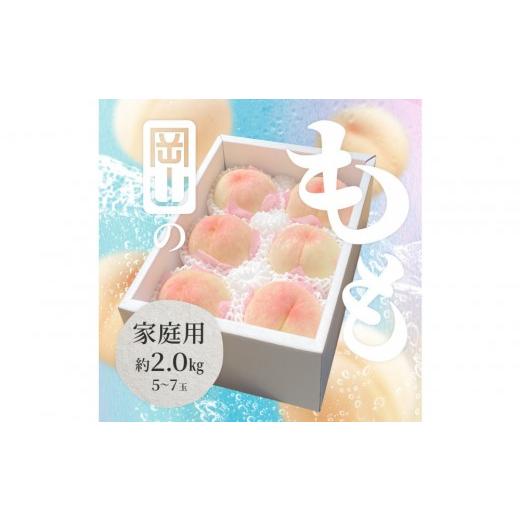 ふるさと納税 もも 岡山県 岡山市 2026年 岡山県産 白桃 家庭用 約2kg(5〜7玉)