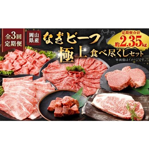 ふるさと納税 牛肉 セット 岡山県 奈義町 全3回定期便 岡山県産 なぎビーフ 極上食べ尽くし セット お肉 肉 おにく にく 牛肉 ぎゅうにく 国産 ブランド牛 詰…