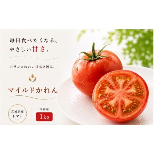 ふるさと納税 野菜類 トマト 宮城県 美里町 トマト かれん マイルドかれん 1kg(箱満杯詰め) / 野菜 トマト