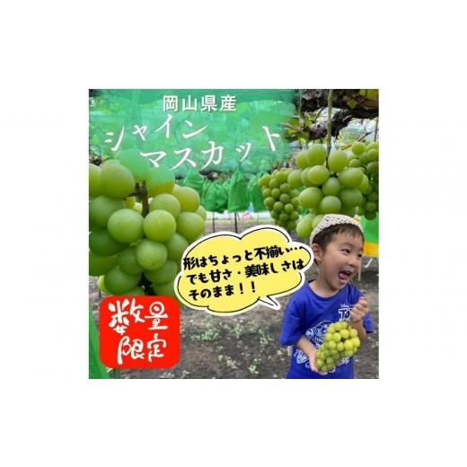 ふるさと納税 ぶどう マスカット 岡山県 岡山市 ご家庭用「1.8キロ以上」岡山県産シャインマスカット