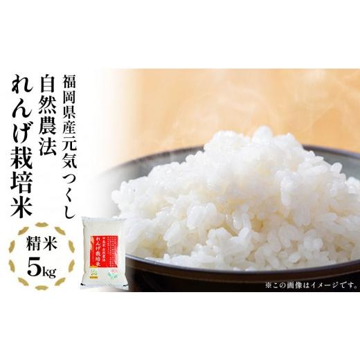 ふるさと納税 米 福岡県 大木町 先行予約 令和8年産 れんげ米 れんげ農法栽培米「元気つくし」(精米・5kg)