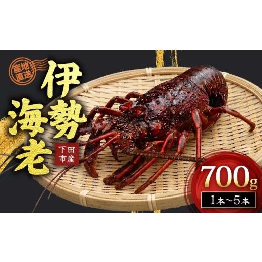 ふるさと納税 エビ 伊勢エビ 静岡県 下田市 冷凍 伊勢海老 活 700g Nセット 下田産 伊勢エビ 海老 活き締め 国産 海老 えび 刺身 味噌汁 おつまみ バーベキュ…